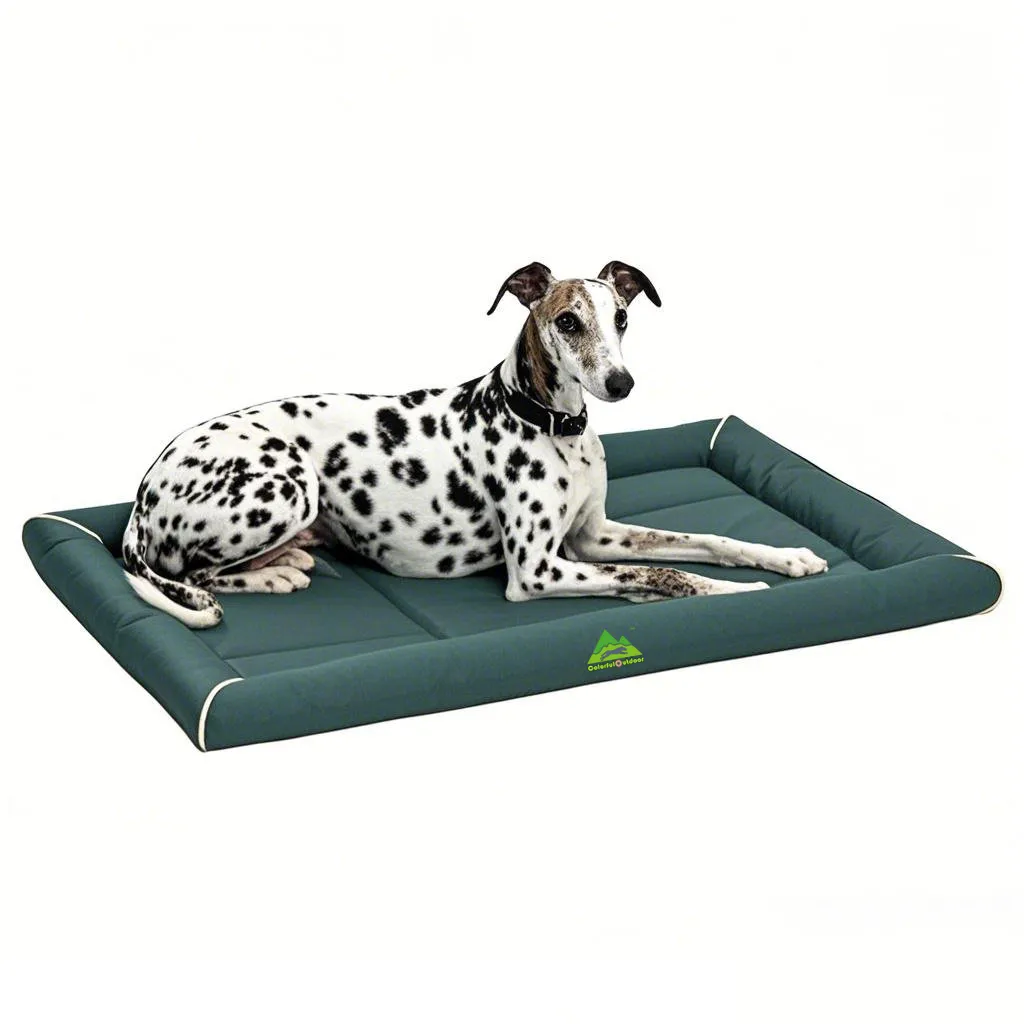 dog outdoor cushion