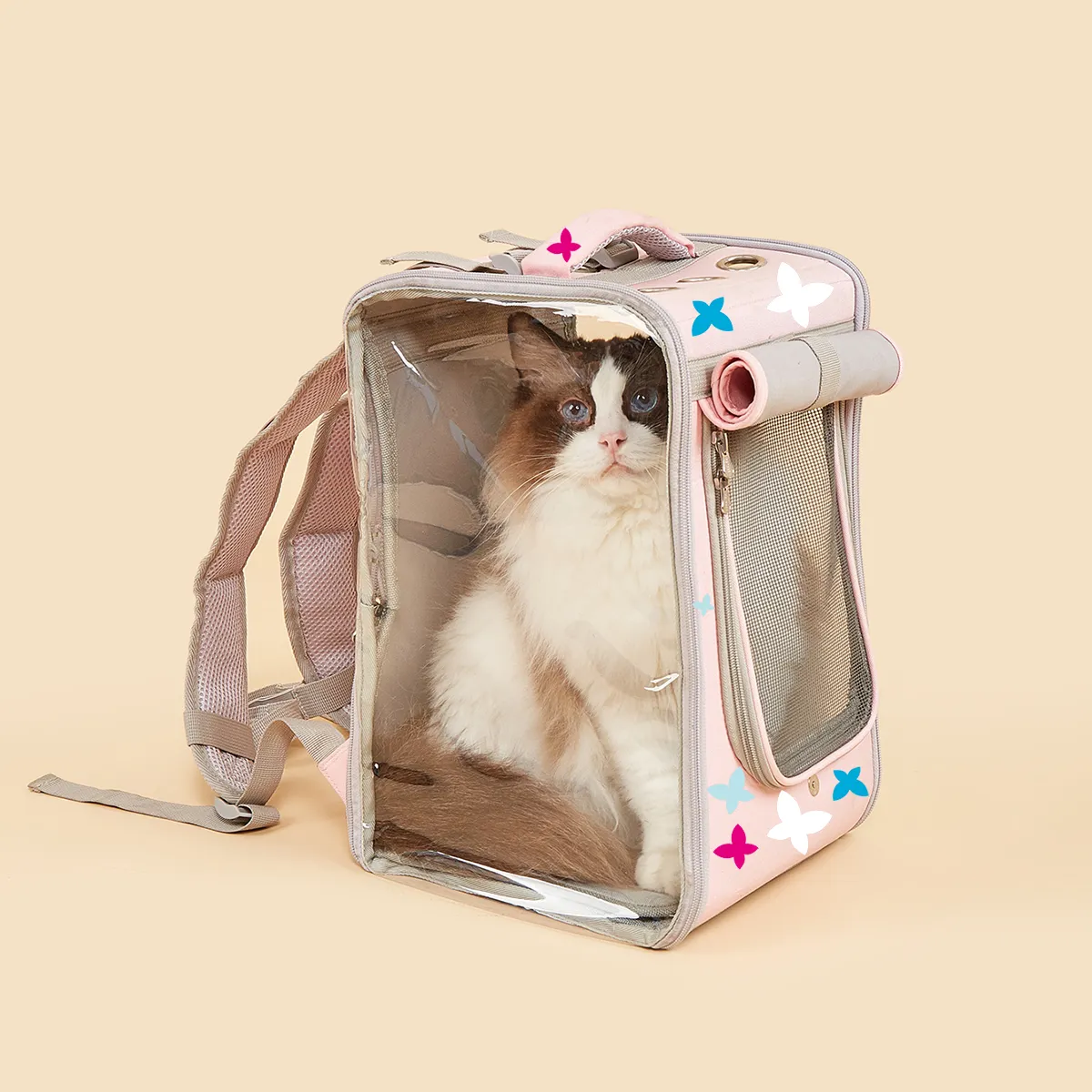 Cat backpack
