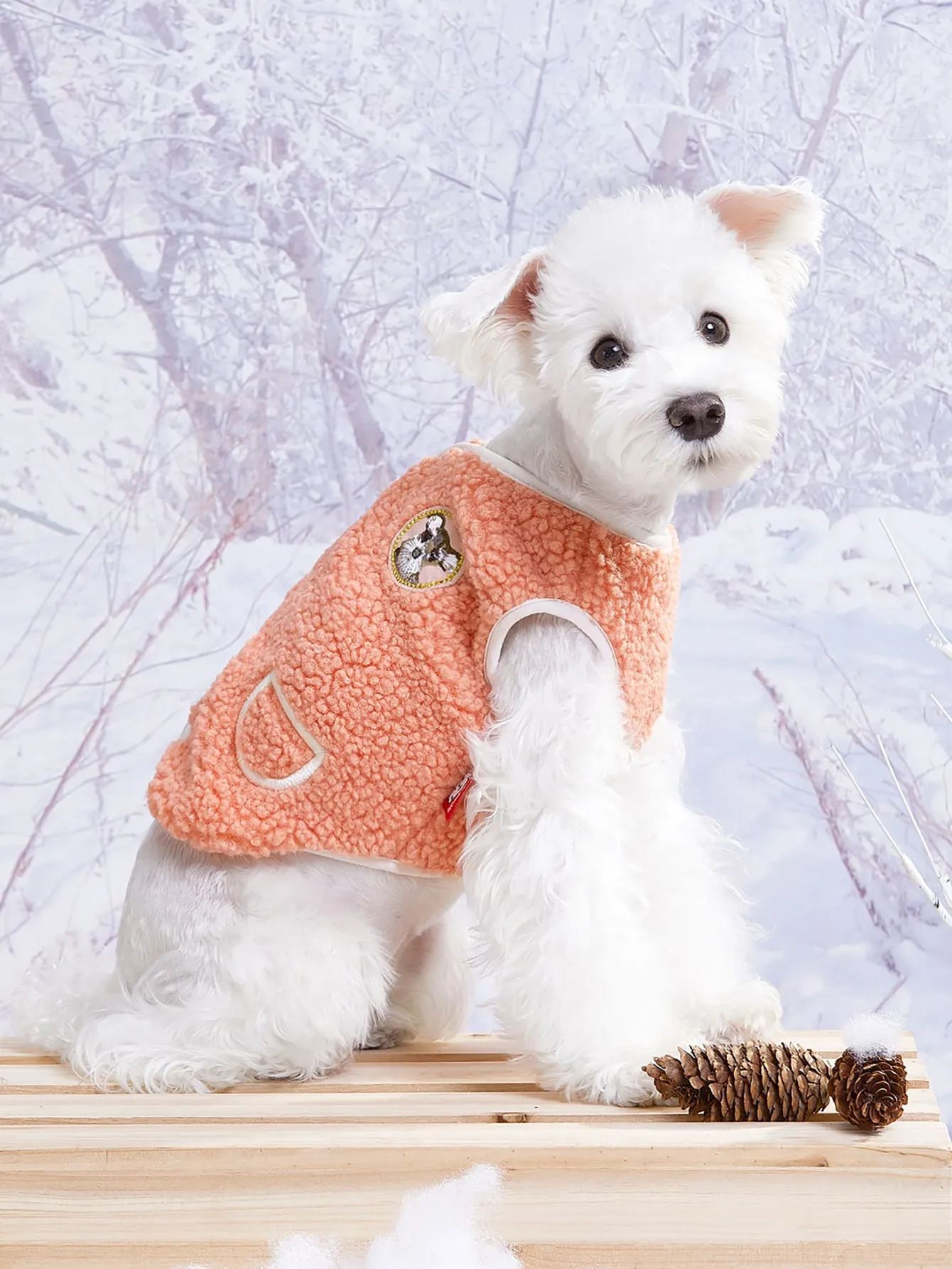 Dog Apparel