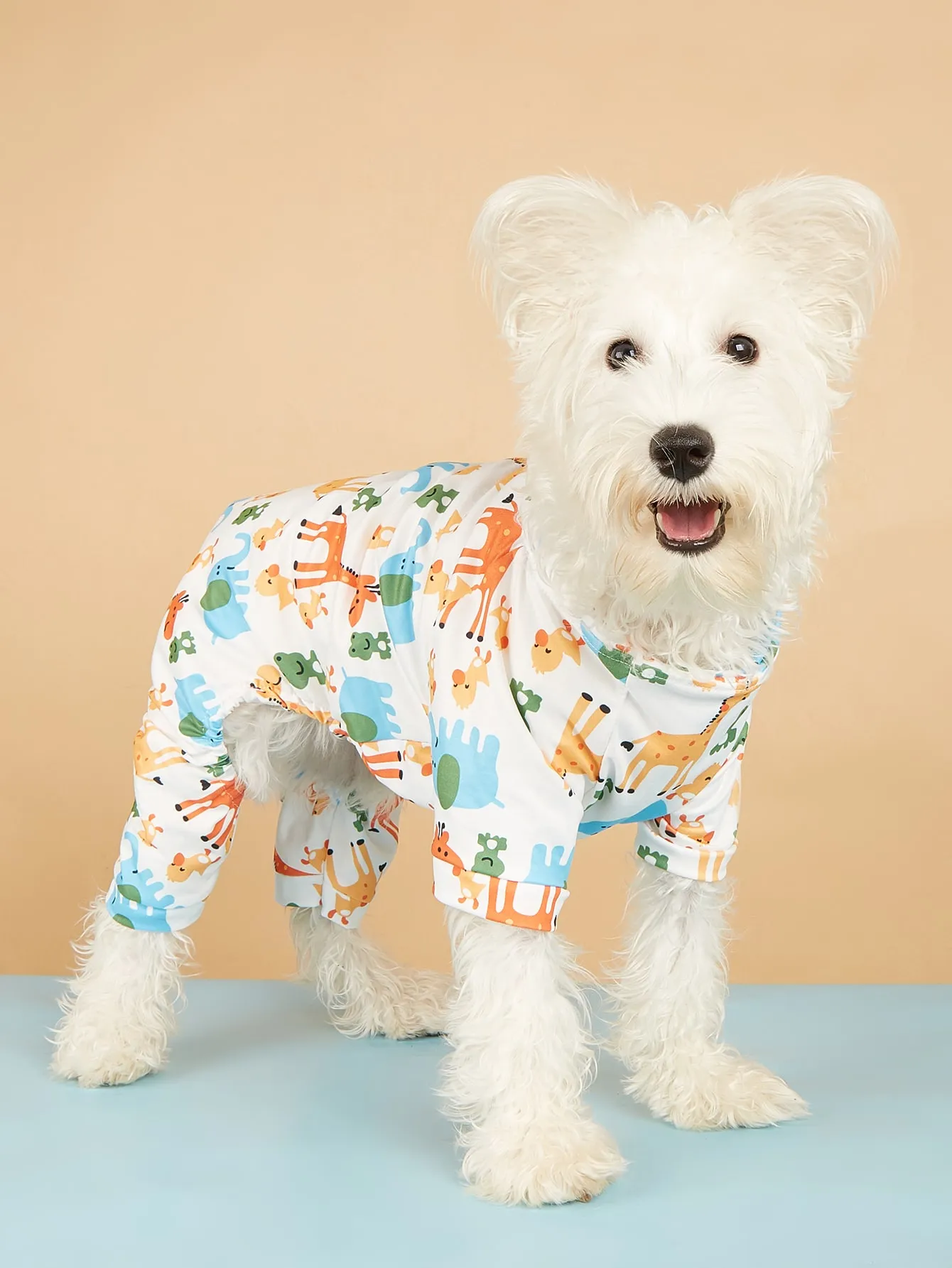 Dog Apparel
