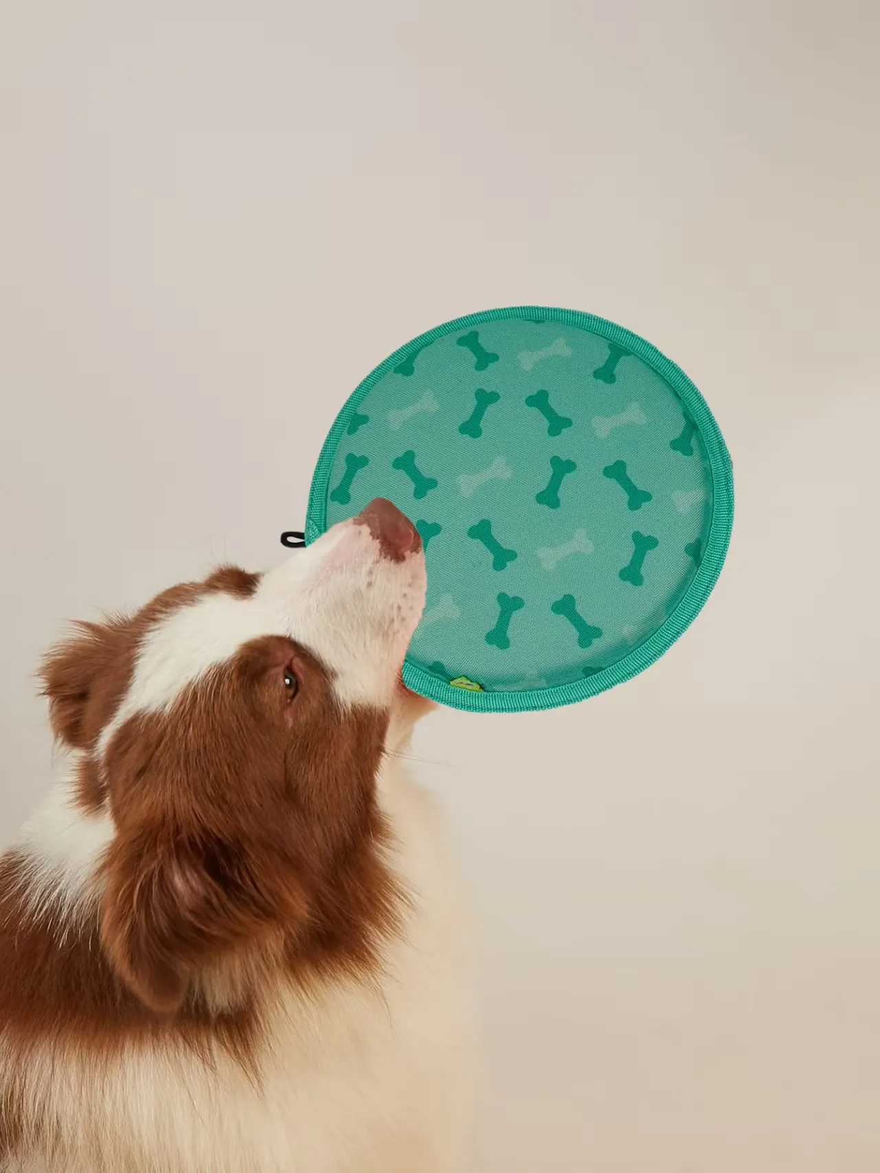 Dog frisbee disc toy