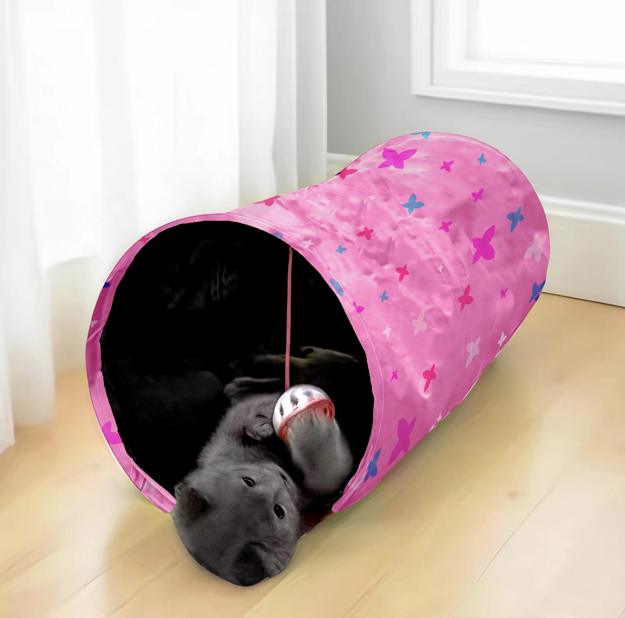 cat tunnel