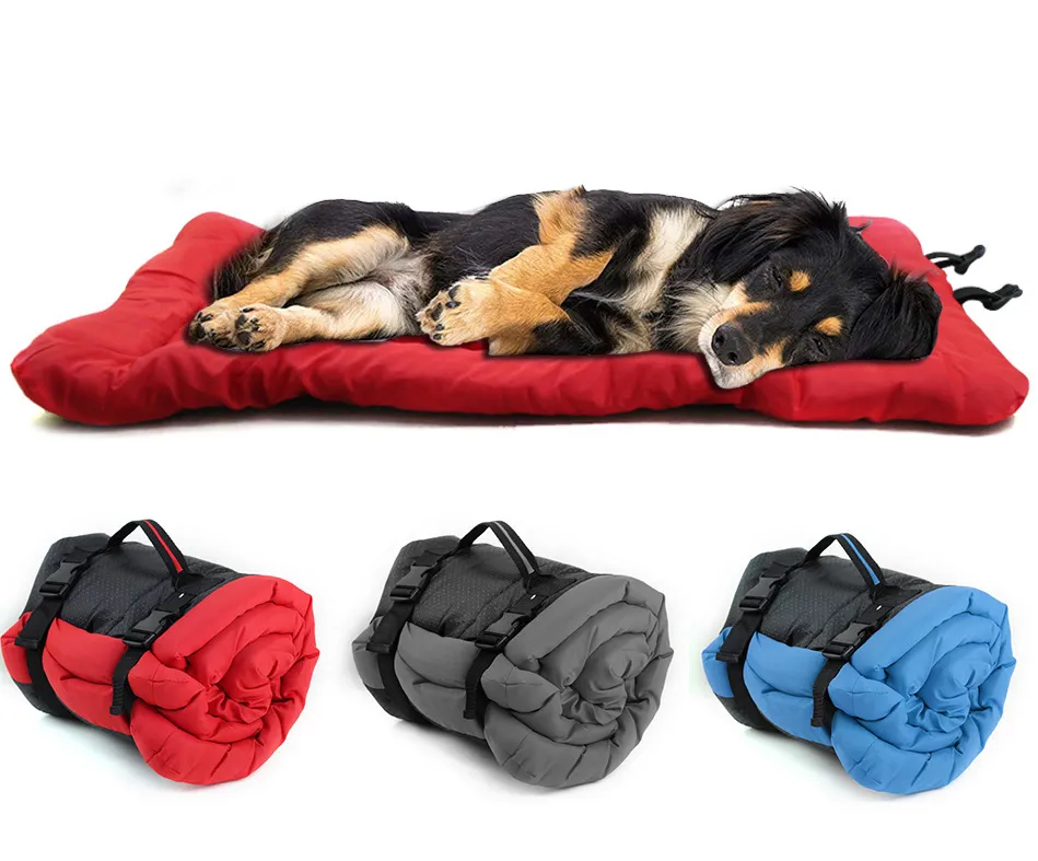 Dog outdoor mat